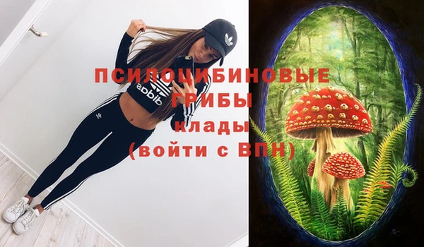 кокс Кулебаки