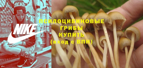 бутират Краснослободск