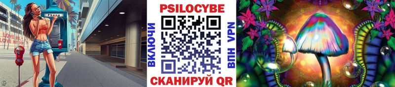 Псилоцибиновые грибы Magic Shrooms  Купить закладки  Владивосток 
